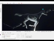 How To Easily Censor Pictures Using PhotoScape 12/16