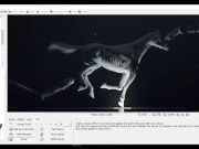 How To Easily Censor Pictures Using PhotoScape 2/16