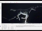 How To Easily Censor Pictures Using PhotoScape 5/16