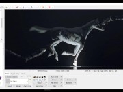 How To Easily Censor Pictures Using PhotoScape 6/16