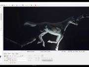 How To Easily Censor Pictures Using PhotoScape 9/16