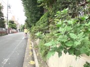 【無】あまえんぼう Vol.27 パート1 Aya Eikura 3/16