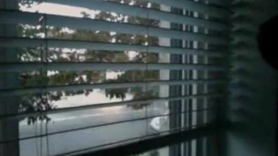 House window dick flashing