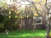 PASCALSSUBSLUTS - Facial Rachel OBrien fucking maledom cock 3/16