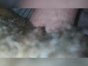 Wet teen pussy gets cummed on by big white dick 7/16