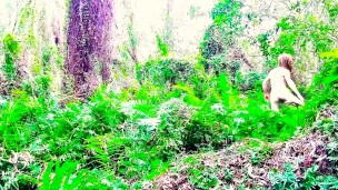 Lygodium Forest