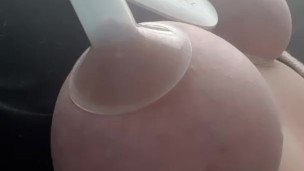 Pretending to milk fat saggy cow udders