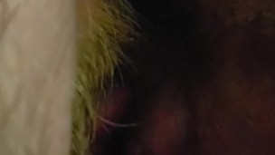 Bbw milf gets pussy licked