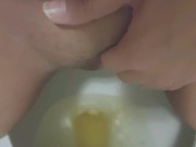 Messy toilet piss