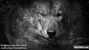 Onlyfans.com/Flint-Wolf