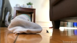 The Cleanup - PREVIEW GAY MACROPHILIA