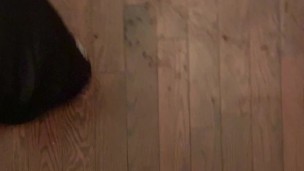 Pissing all over apartment