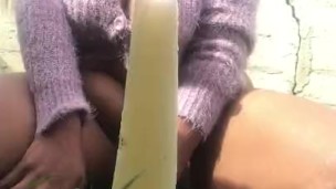 Fuzzy Pop Fairy