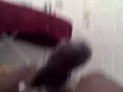 Loud nut - Screenshot 8 of 16 - Semen