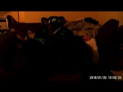 Dov's Rex Play Time 15/16