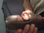Stroking My Cock with New Sex Toy