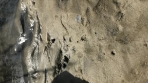 POV masturbating to orgasm outdoors with my toes in the sand at the beach
