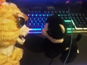 Feisty Pets - Demon Princess Pottymouth (Meme Fan Video)