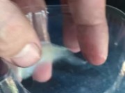 Cum fetish in a peeps container. 3rd cum in 2 hours.