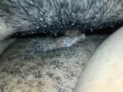 EBONY LESBIANS TRIBBING