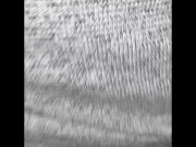 HOT-AMATEUR-TEEN_CrAeMPiE! Special photo ending!! 7/16