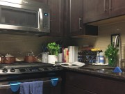 DaniDaniels.com - 76 - Solo 1/16