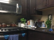 DaniDaniels.com - 76 - Solo 11/16