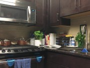 DaniDaniels.com - 76 - Solo 2/16