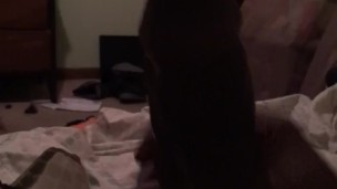 Big Daddy Don Stroke his Big black cock u and cum a lot