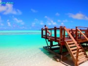 Spotted: Beautiful Things In Aitutaki