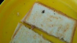 This tuna and cheese sand which with lime and pepper is so fucking good
