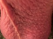 Jumping testicles - Screenshot 14 of 16 - Sperm