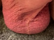 Jumping testicles