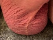 Jumping testicles - Screenshot 4 of 16 - Sperm
