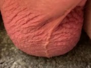 Jumping testicles - Screenshot 5 of 16 - Precum