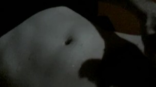 random cumshot time