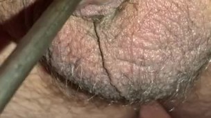 Sticking screwdriver in small dick
