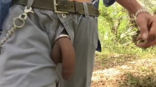 A Walk And A Stroke At The State Park