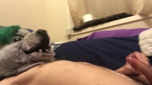 Broken Puppy Cummies