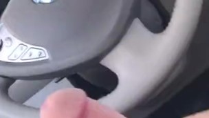 Target parking lot public masturbation
