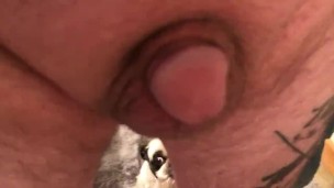 Turtle small dick pissing