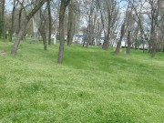 Blowjob in public in the park-Sweet girl swallows my sperm 16/16