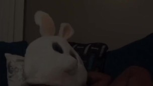 Happy Easter 