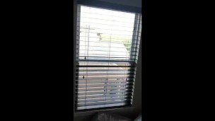 Jerking off in front of open window and swallowing own cum