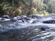 Topless at the river