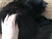 WEEK IN REVIEW #3 | HARPERMADI