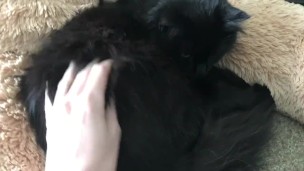 WEEK IN REVIEW #3 | HARPERMADI