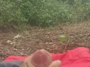 The shade - Screenshot 15 of 16 - Teen Woods