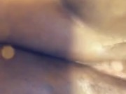 Pussy Play