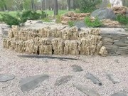 Mamada en un parque público 2/16